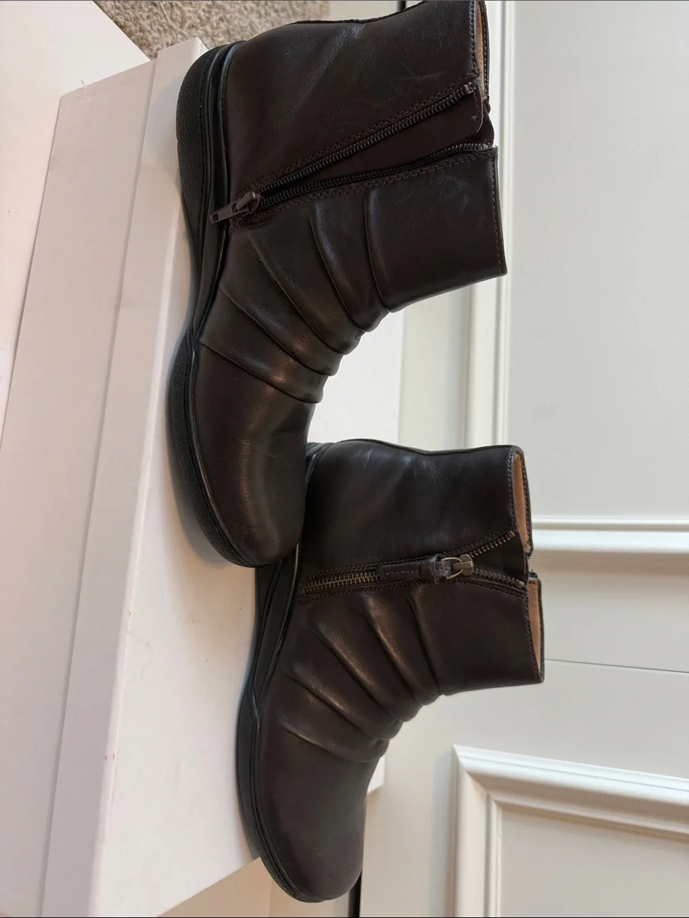 Clarks single owner